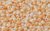 Seed Beads - 20749