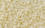 Seed Beads - 20751