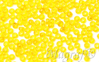 Seed Beads - 20832