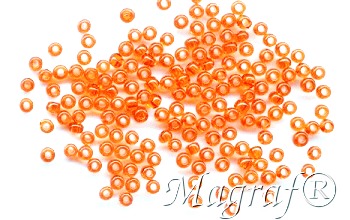 Seed Beads - 20834