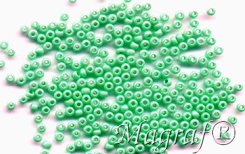 Seed Beads - 20863