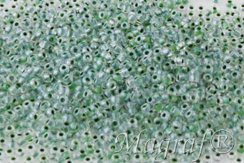 Seed Beads - 20902