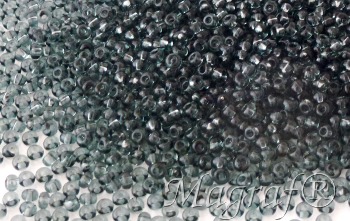 Seed Beads - 20904