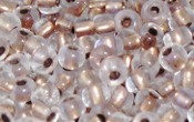 Seed Beads - 20906