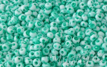 Seed Beads - 20910