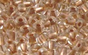 Seed Beads - 20926