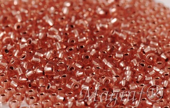 Seed Beads - 21026