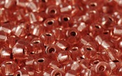 Seed Beads - 21026