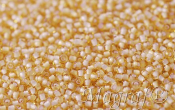 Seed Beads - 21069