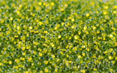 Seed Beads - 21262