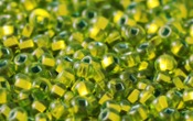 Seed Beads - 21262