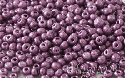 Seed Beads - 21339