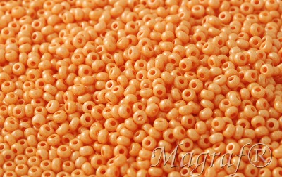 Seed Beads - 21343