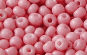 Seed Beads - 21345