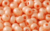 Seed Beads - 21348
