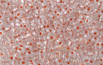 Seed Beads - 21350