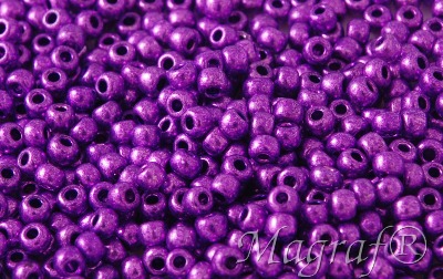 Seed Beads - 21351