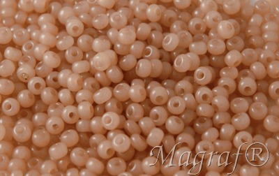 Seed Beads - 21354