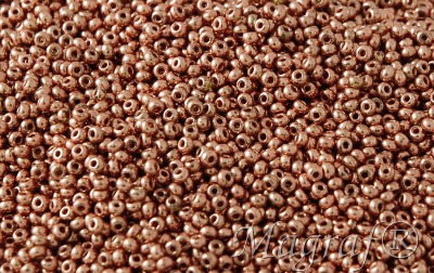 Seed Beads - 21356