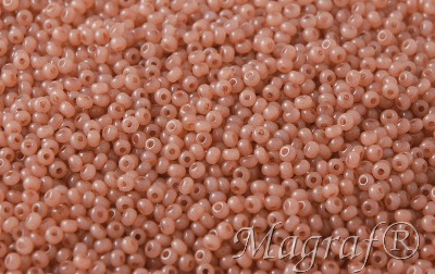 Seed Beads - 21358