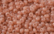 Seed Beads - 21358