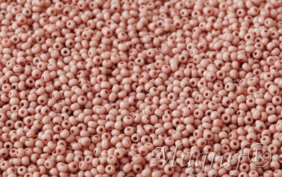 Seed Beads - 21359
