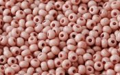 Seed Beads - 21359