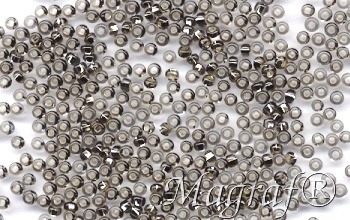 Seed Beads - 21386