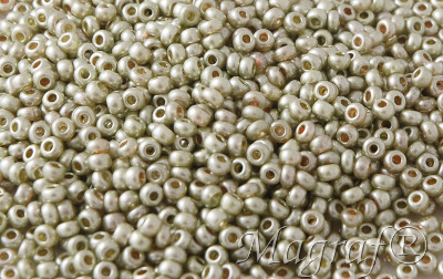 Seed Beads - 21398