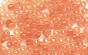 Seed Beads - 21409