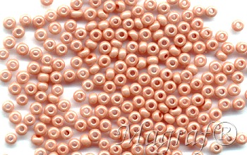 Seed Beads - 21411