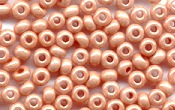 Seed Beads - 21411