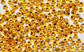 Seed Beads - 21413