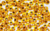 Seed Beads - 21413