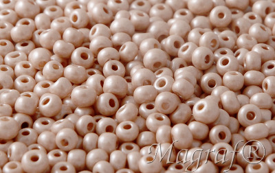 Seed Beads - 21447