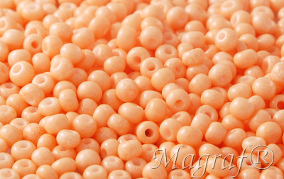 Seed Beads - 21448