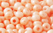 Seed Beads - 21449