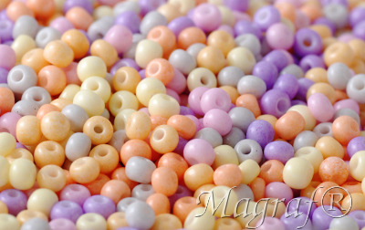 Seed Beads - 21470