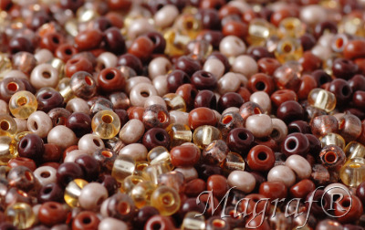 Seed Beads - 21471