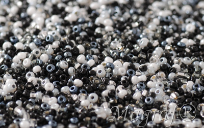 Seed Beads - 21561
