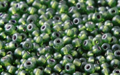 Seed Beads - 21564