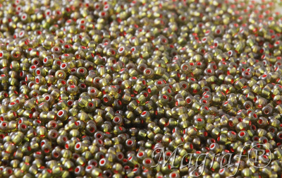 Seed Beads - 21568