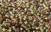 Seed Beads - 21568