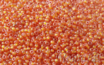 Seed Beads - 21569