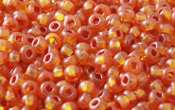 Seed Beads - 21569
