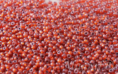 Seed Beads - 21570