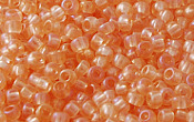 Seed Beads - 21574