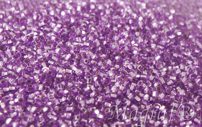 Seed Beads - 21577