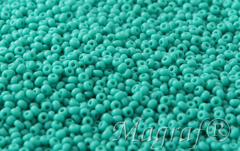 Seed Beads - 21583