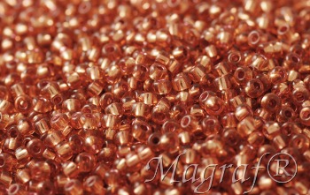 Seed Beads - 21681